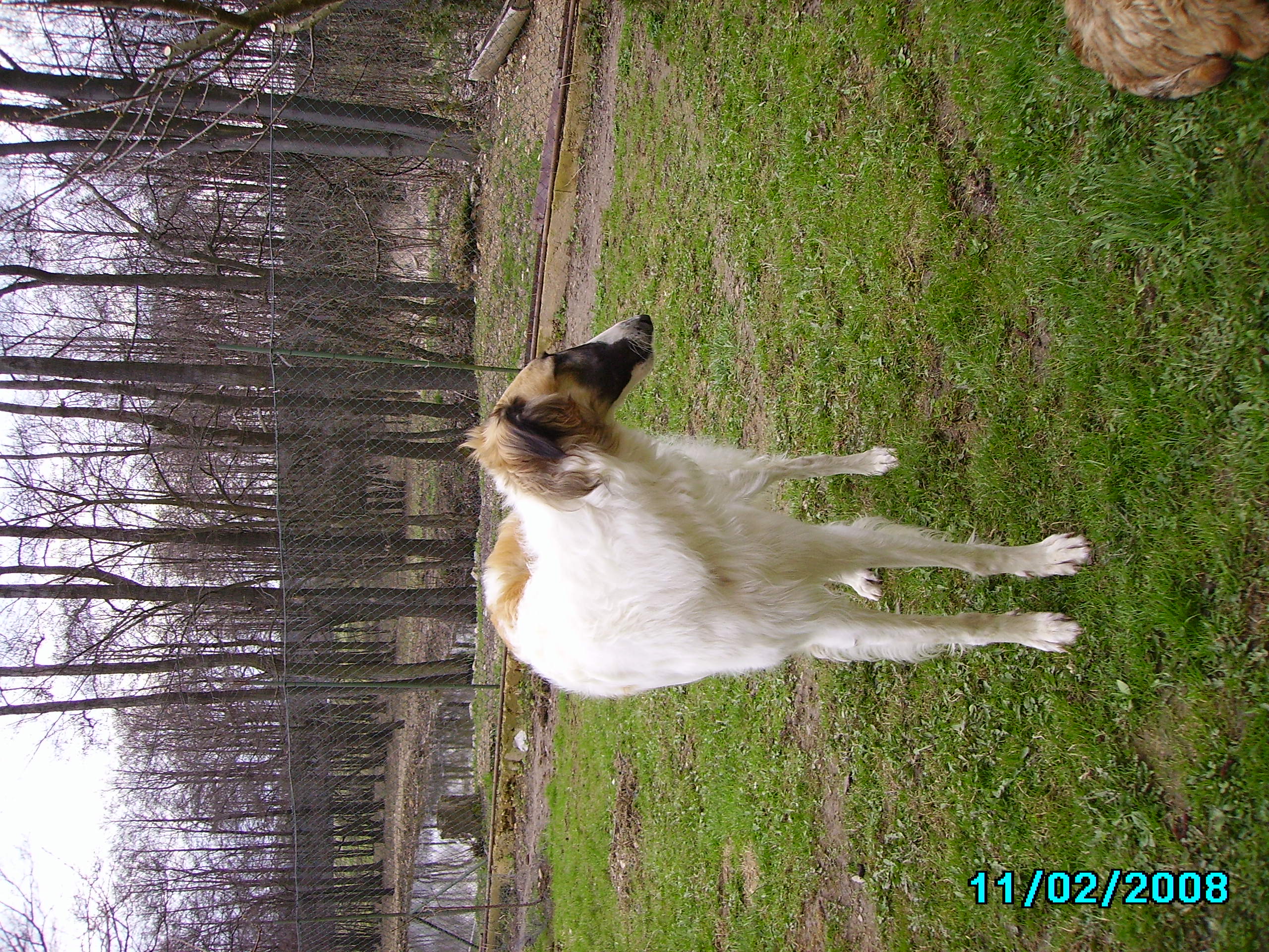 IMGP0270.JPG