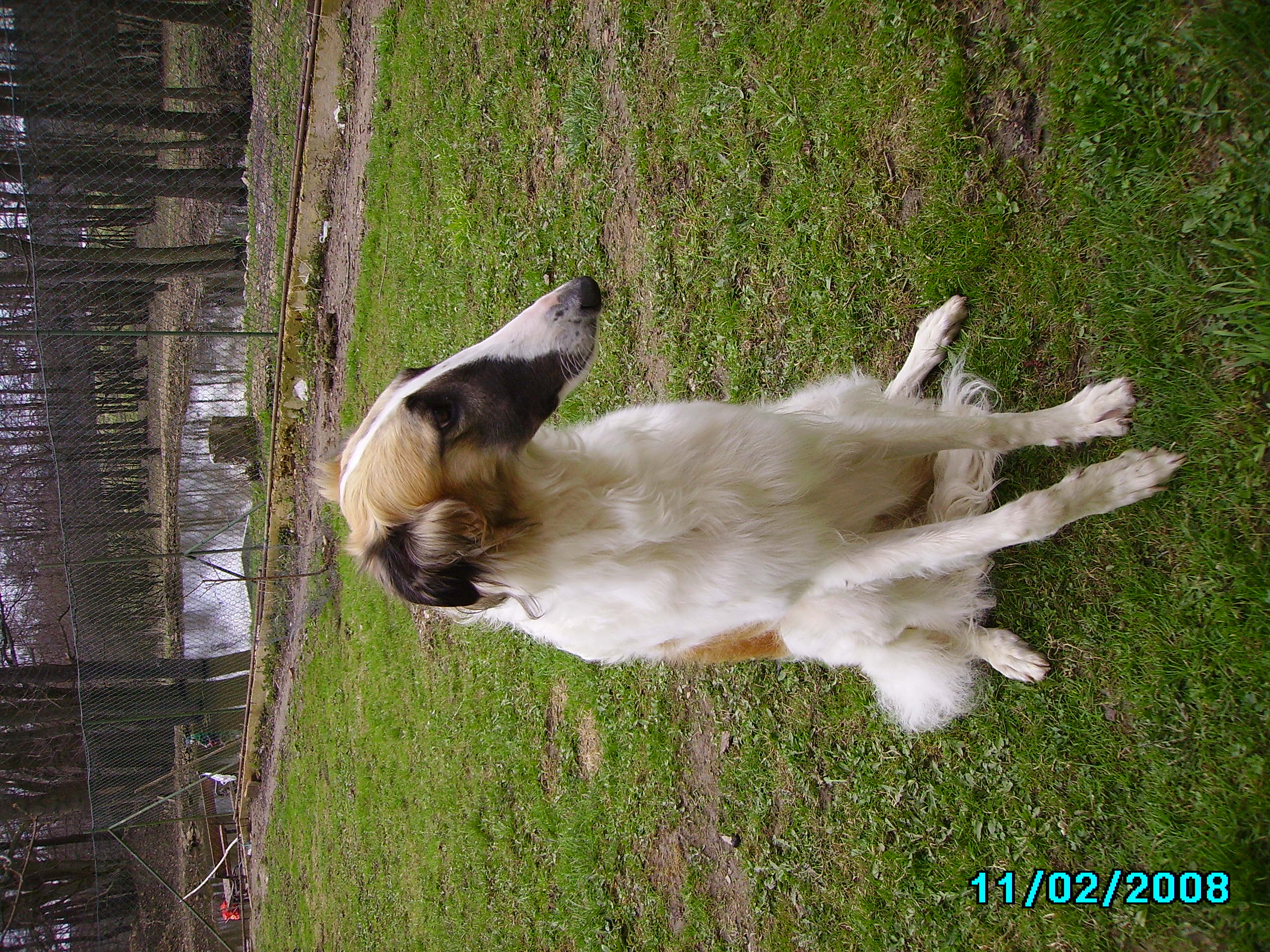IMGP0271.JPG